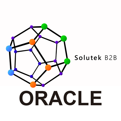 mantenimiento correctivo de servidores Oracle